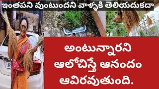 రోజూ ఈగోలేంటిఅంటున్నారు|Happyness ఊరికేవచ్చేయదు|ఎంతఇష్టమోఅంతకష్టం|అరుదుగావచ్చే అదృష్టాన్నిఅందుకోవాలి