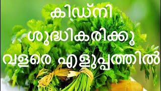 കിഡ് നി  ശുദ്ധികരിക്കാം വളരെ ഈസി ആയി ( Kidney purification naturally )