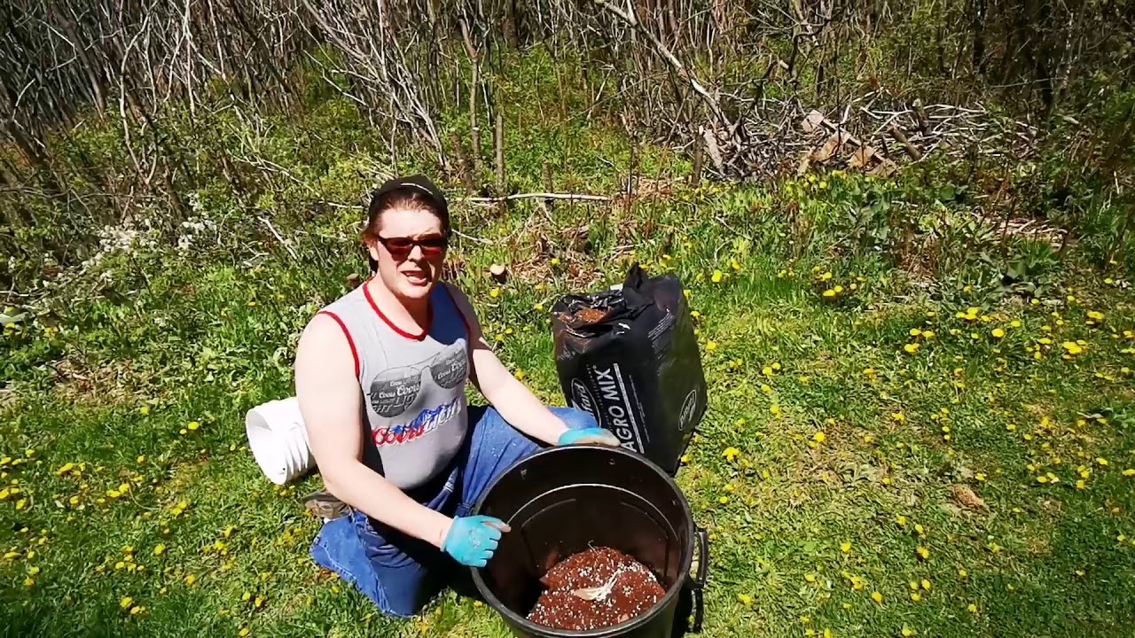 Planting Potatoes In Containers - Zone 5A Gardening - Ontario, Canada ...