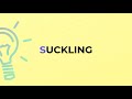 what is the meaning of the word suckling