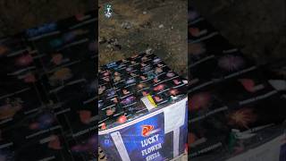 25 Shots Lucky Flower Bombshell by Phoenix Fireworks #newyear2025 #2025 #diwali