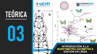 Curso MG: Clase Teórica 03 - Visualización y Estadística de Cambios de Forma