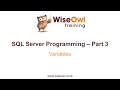 SQL Server Programming Part 3 - Variables