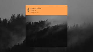 Beatamines - Amica