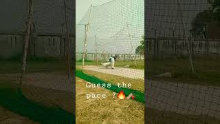 guess the pace 🔥🏏❤️ #viral #cricket #trending #shots #shorts #bowling #bouncerate #ipl2023 #ipl