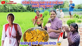 ପରିକ୍ଷା ଦିନରେ ରାଣୀ କ'ଣ ପାଇଁ ଧାନ ଉପାଡ଼ି ବାକୁ ଗଲା ? ରାଣୀ କୁ ଗାଳି ଦେଲେ ବାପା 😨