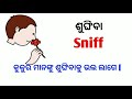 ଦୈନନ୍ଦିନ ଜୀବନରେ ବ୍ୟବହୃତ କିଛି english ଶବ୍ଦ common english words dailylifeenglishwords