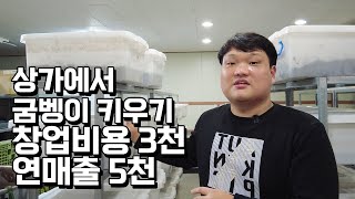 25살에 창업자금 3천만원으로 시작해 일년에 굼벵이 5천만원씩 파는 청년농부