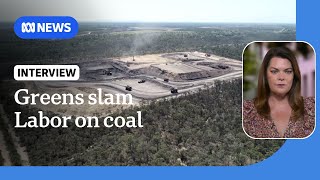 Greens Senator slams Labor’s Queensland coal mine approval as ‘appalling’ | ABC News