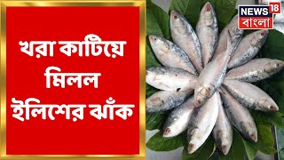 Hilsa Fish : খরা কাটিয়ে মিলল ইলিশের ঝাঁক, ২ মাস পর ২০০ টন । Bangla News