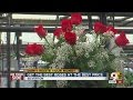 Valentine's Day flowers: Get the best roses at the best price