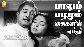 Paalum Pazhamum - HD SAD Video Song | பாலும் பழமும் | Sivaji Ganesan | Viswanathan Ramamoorthy