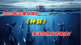 【阿奇】海洋生物展开疯狂报复，诡异手段防不胜防/2023年灾难惊悚片《种群 The Swarm》