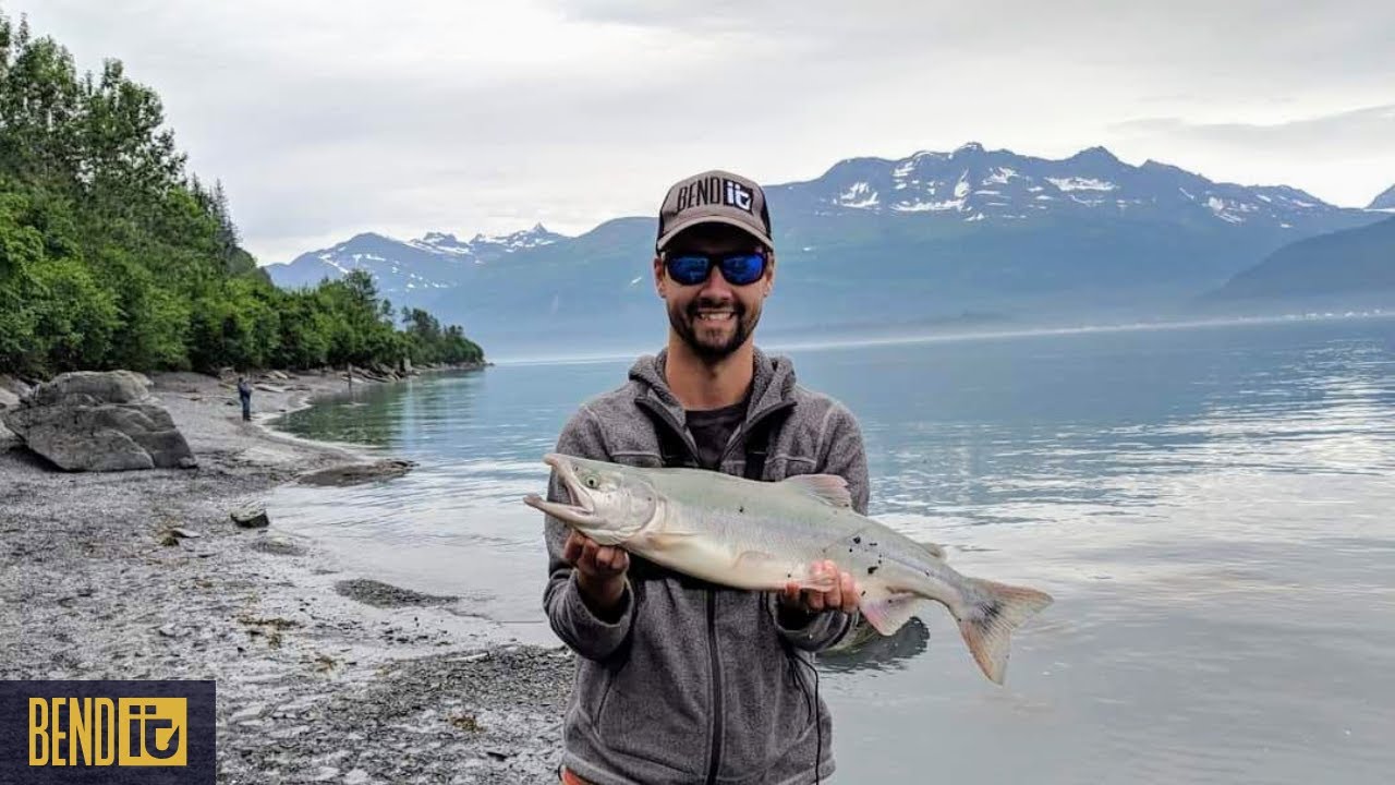 Pink Salmon Run - Valdez Alaska - YouTube