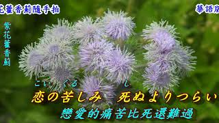 昭和流れうた(昭和流行歌)1985(日語~森進一 + 翻譯)銘哥翻唱[華語版：雨夜再見(江淑娜)