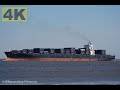 SC MARA - Shipspotting Germany 🇩🇪 IMO 9302578 - River Elbe near City Otterndorf - 4K VIDEO