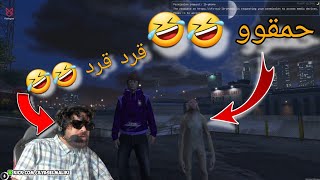 إلياس المالكي لقا قرد في Gta rp لمووت ديال الضحك 😂😂 حمقوو  eliyaselmaliki