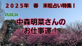 25,02,14中森明菜さんのお仕事運！～米粒占い(台湾流易学)～