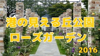 【バラ】 港の見える丘公園 ローズガーデン 2016 【無音】