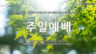 2023.07. 23 주일 2부 예배