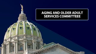 Aging \u0026 Older Adult Services Committee -- January 28, 2025