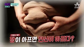 [예고] 면역의 중심, 장腸을 사수하라! | 채널A 닥터지바고 294회