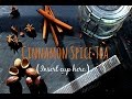 Cinnamon Spice Tea a Healing Brew!