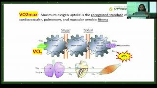 CPET interpretation: What a Frontline Pulmonary Specialist Should Know