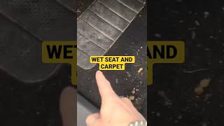 Check This Before You Get Water Inside Your Vw