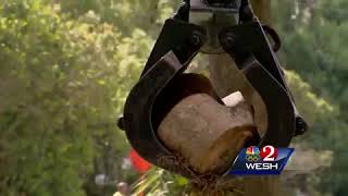 Storm Debris cleanup continues in Seminole County