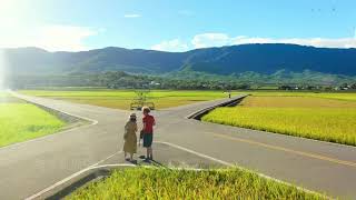 2020 6 12台東池上伯朗大道空拍 第三部曲 日出大稻 4K60P Órla Fallon   Morning Has Broken My Land