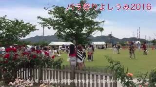 よしうみバラ祭り2016