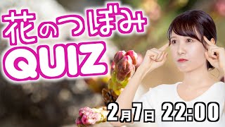 【花のつぼみクイズ】この蕾なぁ〜んだ？/2023年2月7日 22時00分 （ウェザーニュースキャスター戸北美月）