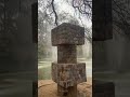 lodhi garden 🪴 shorts explore delhi youtubeshorts ytshorts trending