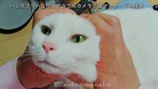 猫の顔をマッサージ nekomon's cat face massage