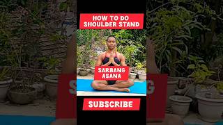 সর্বাঙ্গাসন কীভাবে করবেন /How to do shoulder stand #viral #digitalsarathi