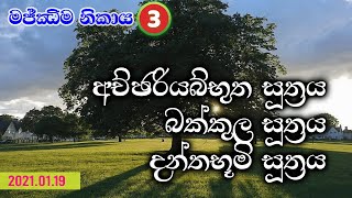 මජ්ඣිම නිකාය-3 සූත්‍ර විවරණ | අච්ඡරියබ්භුත සූත්‍රය, බක්කුල සූත්‍රය, දන්තභූමි සූත්‍රය (2021.01.19)