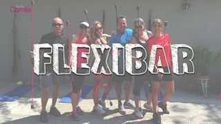 Flexibar