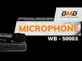 BMB WB-5000 Wireless Microphone Introduction