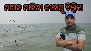 visit  famous lake the  Chilka with my friends and see the Chilka visiter bird paradise ।। ଚିଲିକା