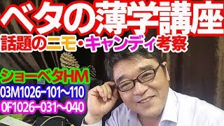 ベタの薄学講座　ニモ・キャンディ・ギャラクシー　本編ショーベタHMオス10匹メス10匹