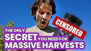 All Other Garden Tips \u0026 Plant Nutrients are BULLSH*—This SECRET is ALL you need 4 MASSIVE HARVESTS!🤫