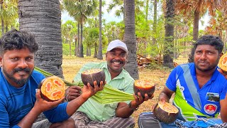 சாயல்குடி பனங்காட்டுக்குள் உங்கள் மீனவனுடன் நொங்கு பதநீர் | Plam Tree 🌴| Ice Apple | Traditional