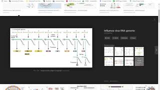 Making a Wiki page on Canvas