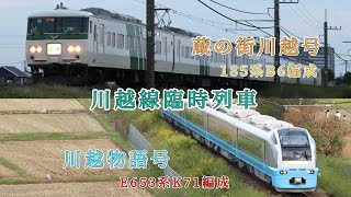 【E653系K71編成】川越線臨時列車まとめ(川越物語号・蔵の街川越号)