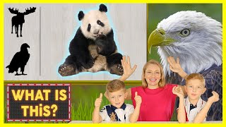 WILD ANIMALS FOR KiDS - Vocabulary for kids ❤️ Learn Wild Animal Names in English for Kids video