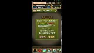 【パズドラ】進化カーニバル 友情ガチャ 36連