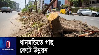 রাজধানীর সাত মসজিদ রোডের প্রায় পাঁচশোর বেশি গাছ কেটে ফেলা হয়েছে ||  Dhanmondi || Tree