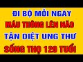 ĐI BỘ Mỗi Ngày Bao Nhiêu Phút Là Tốt Cho Sức Khỏe? 12 Lợi Ích Vàng Của Đi Bộ Mà Bạn Chưa Biết