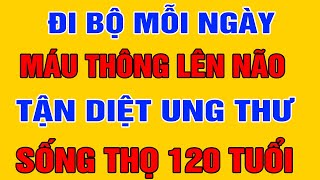 ĐI BỘ Mỗi Ngày Bao Nhiêu Phút Là Tốt Cho Sức Khỏe? 12 Lợi Ích Vàng Của Đi Bộ Mà Bạn Chưa Biết